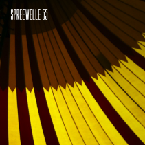 Spreewelle – Ausgabe 55