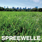 Spreewelle - Ausgabe 76