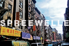 Spreewelle – Ausgabe 77