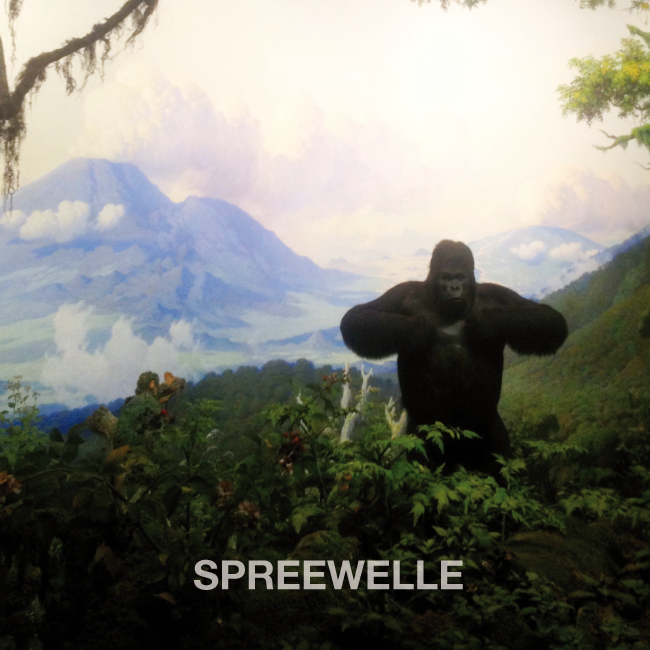 Spreewelle 84 Cover