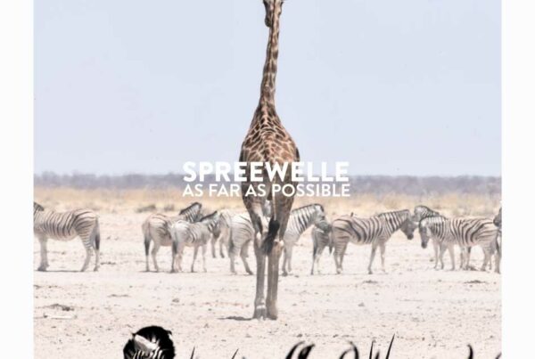 Spreewelle183