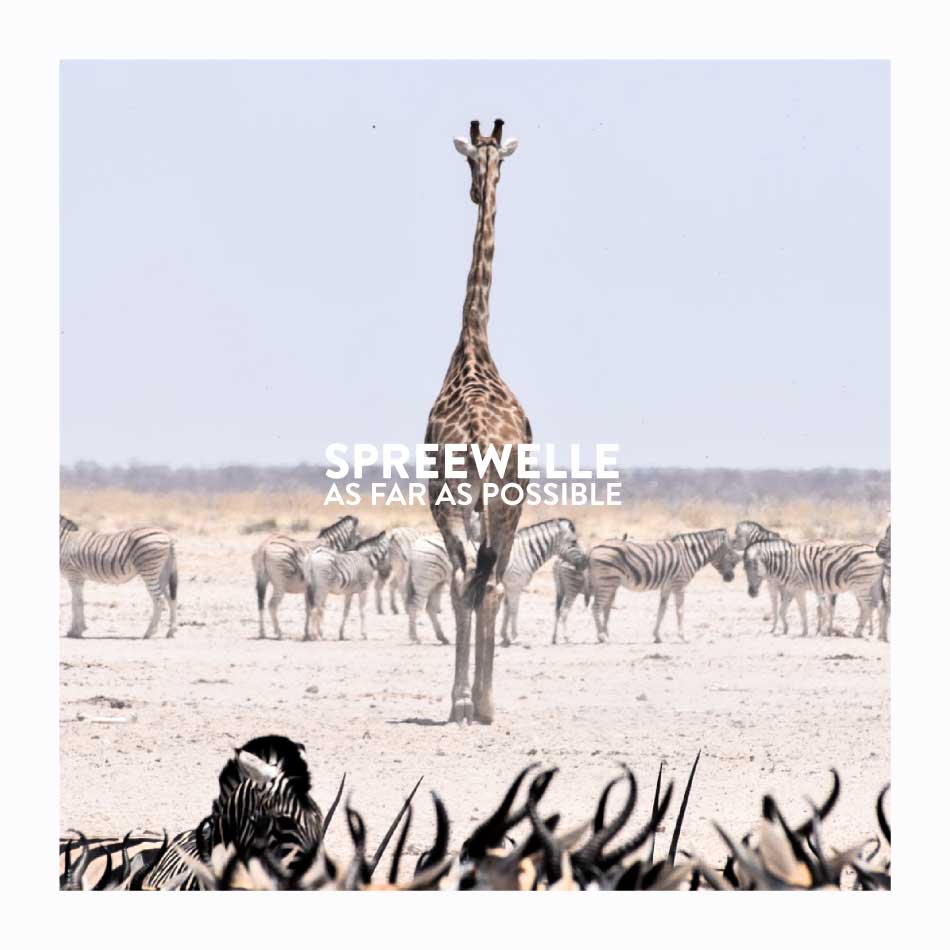 Spreewelle183